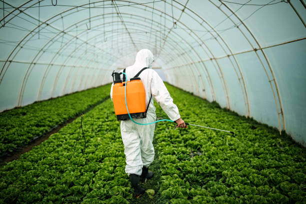 Best Pest Prevention Services  in Port Neches, TX