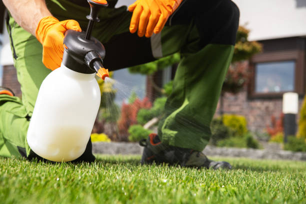 Best Best Pest Control Companies  in Port Neches, TX
