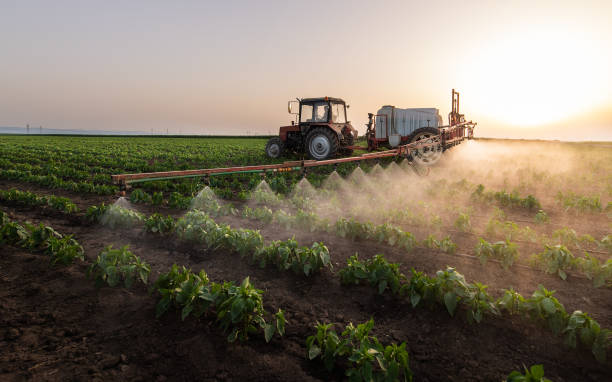 Best Best Pest Control Companies  in Port Neches, TX