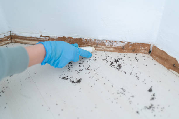 Trusted Port Neches, TX Pest Control Experts